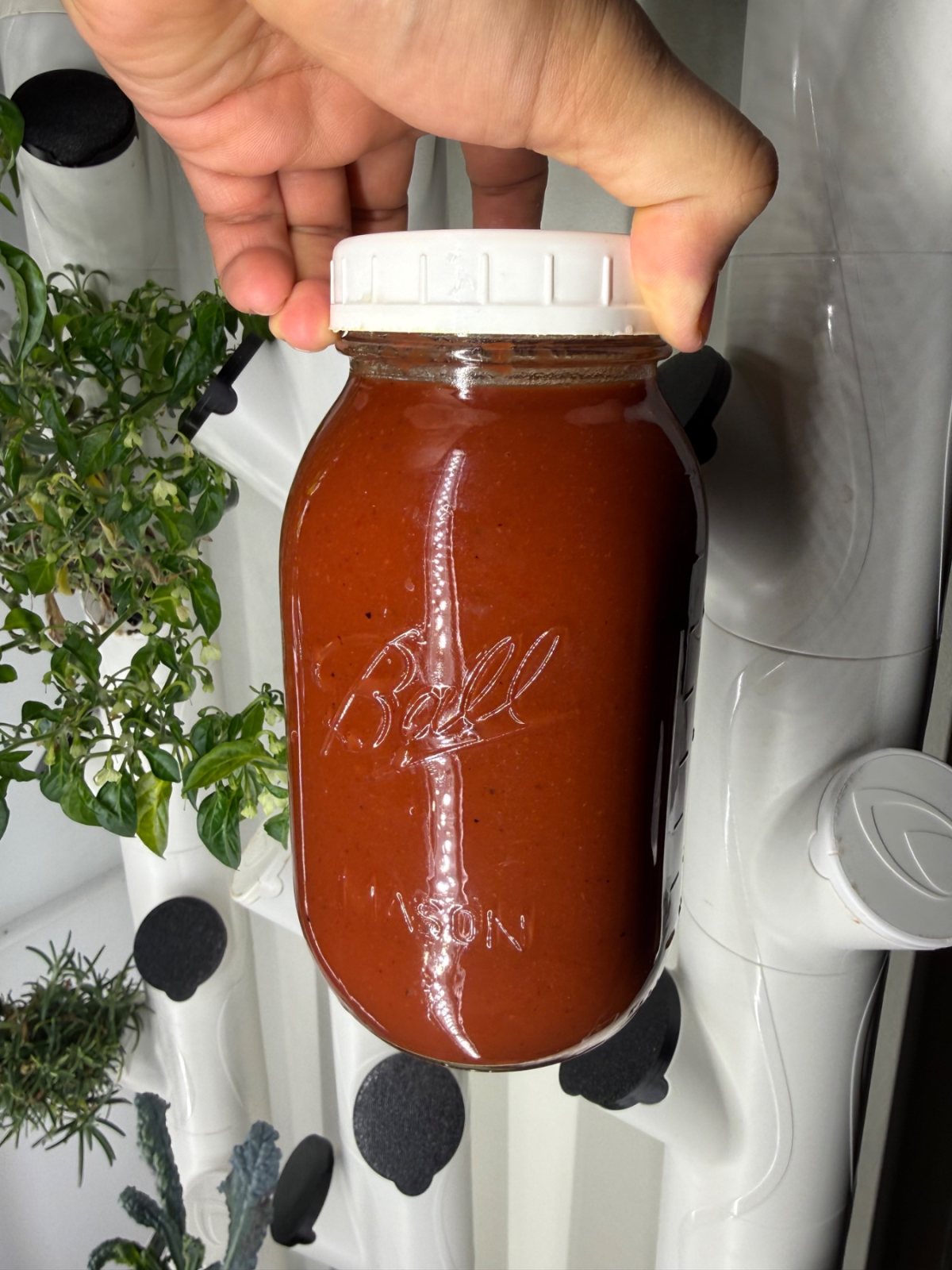 Saarth’s Carolina Reaper Hot Sauce